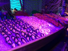-海棠湾洲际-涛·海底餐厅·美人鱼·自助餐·海底隧道