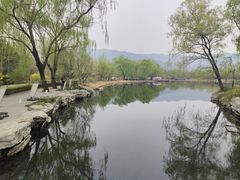 -国家植物园