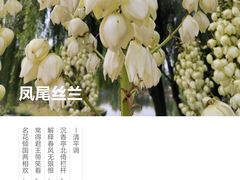 -石家庄市植物园