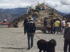 羊卓雍湖-羊卓雍措