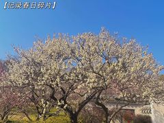 -无锡梅园公园