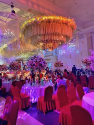 -谛融婚礼酒店·宴会厅(花园店)