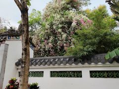 -深圳国际园林花卉博览园