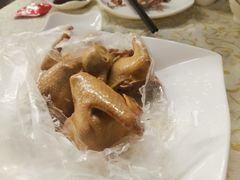 -百利鸽王(紫薇路店)