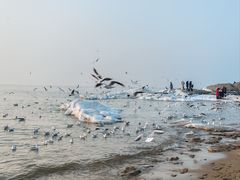 -老虎石海上公园