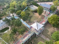 -西霞口神雕山野生动物世界