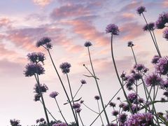 -云峰山自然风景区