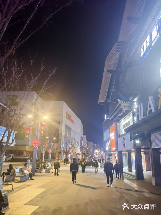 淮河路步行街图片