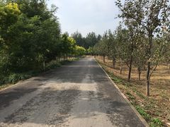 -东郊湿地公园