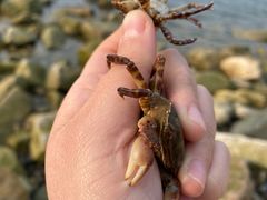 -潍坊滨海云门国际风筝放飞场