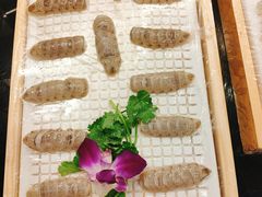 本港大虾蛄蛄-草鱼先生潮州鱼生·虾生(新厦花园店)