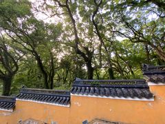 -法雨寺餐厅