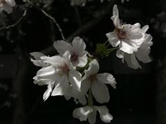 -华东理工大学·停车场