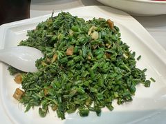-刘胖子家常菜·蹄花焖藕(中南店)