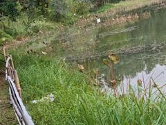 -福建鲤鱼洲酒店