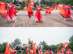 -济南野生动物世界