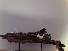 -唐食语粥(青山万达广场店)