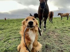 -星伦多自助料理(花山金鹰店)