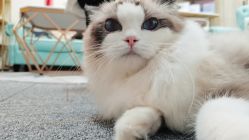 -元一肌肤管理中心