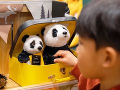 -珠海横琴国家地理探险家中心(创新方)