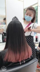 -YESIDO椰岛造型