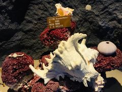 -北海·海洋之窗