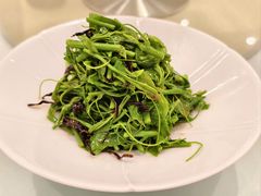 油鸡枞拌辣木苗-马旺子酒楼