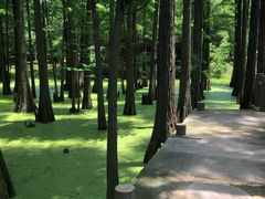 -东湖落雁景区