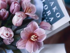 -ChaKo Flora ·茶子花艺 (市北店)