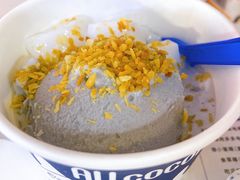 椰子灰冰淇淋-蔻蔻椰·鲜萃椰子水(COCO Park店)
