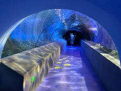 -太平洋海底世界