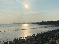 -深圳湾公园(南山区)