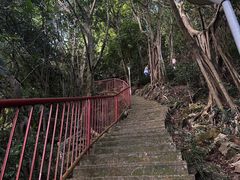 -小南山公园