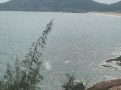 -广东惠东海龟国家级自然保护区