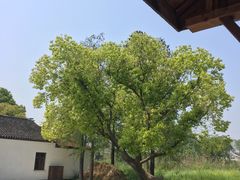 -同里国家湿地公园