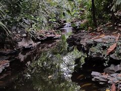 -广州兰圃