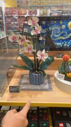 -乐高授权专卖店(华采天地店)