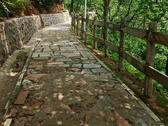 -大岭沟猕猴桃谷风景区