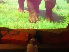 -珠海横琴国家地理探险家中心(创新方)