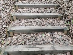 -南山植物园