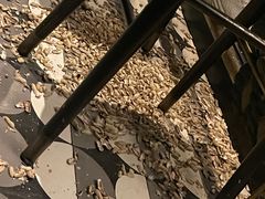 -Long Bar(莱佛士酒店)