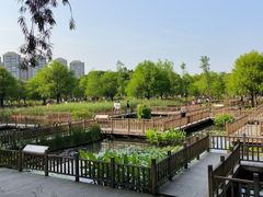 -五缘湾湿地公园