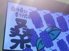 -Mr.Fruits水果先生(朝阳门悠唐店)