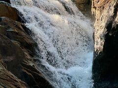 -广州白江湖森林公园