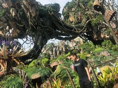 -奥兰多迪士尼动物王国乐园