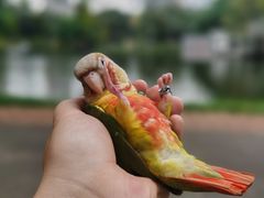 -晓港公园