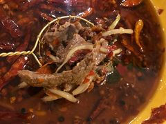 水煮牛肉-熊猫川菜馆 panda chine