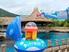 -珠海长隆海洋王国
