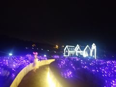 -大塘金香草谷