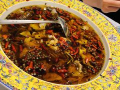 水煮河豚-肆月河豚·新淮扬(金融街店)